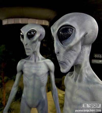 描述: 不得了! 大曝光：人類已發現50種外星人, 你見過但你不知道!