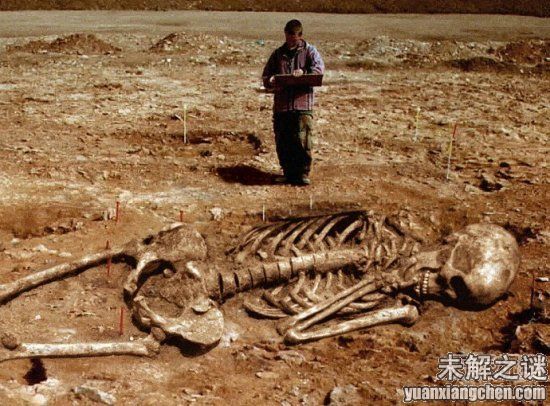描述: 不得了! 大曝光：人類已發現50種外星人, 你見過但你不知道!