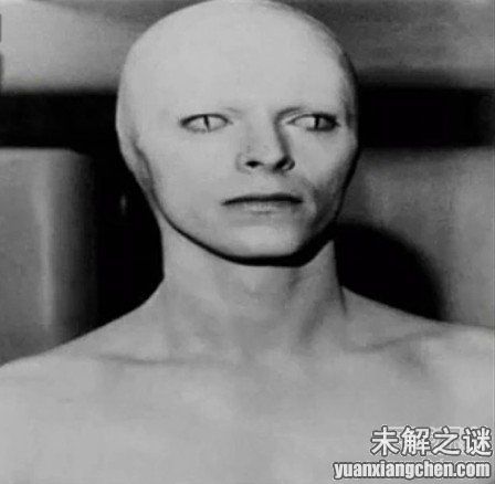 描述: 不得了! 大曝光：人類已發現50種外星人, 你見過但你不知道!