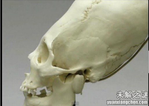 描述: 不得了! 大曝光：人類已發現50種外星人, 你見過但你不知道!
