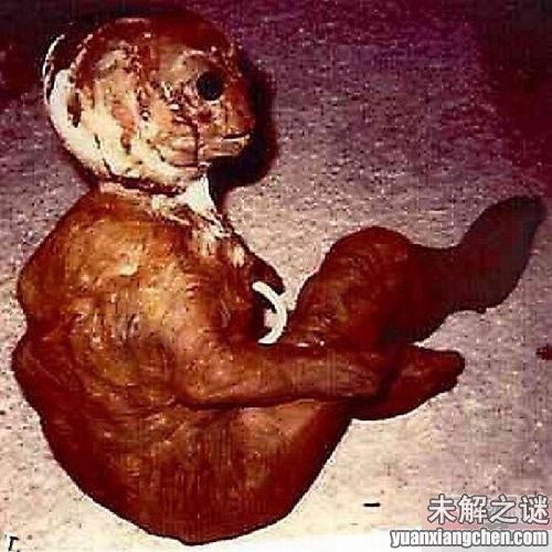 描述: 不得了! 大曝光：人類已發現50種外星人, 你見過但你不知道!