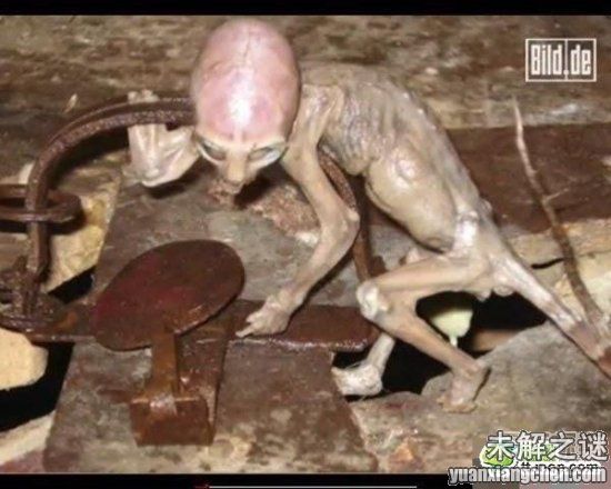 描述: 不得了! 大曝光：人類已發現50種外星人, 你見過但你不知道!