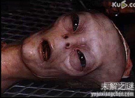 描述: 不得了! 大曝光：人類已發現50種外星人, 你見過但你不知道!