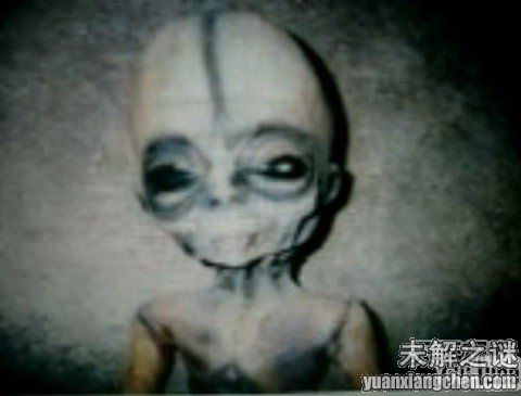 描述: 不得了! 大曝光：人類已發現50種外星人, 你見過但你不知道!