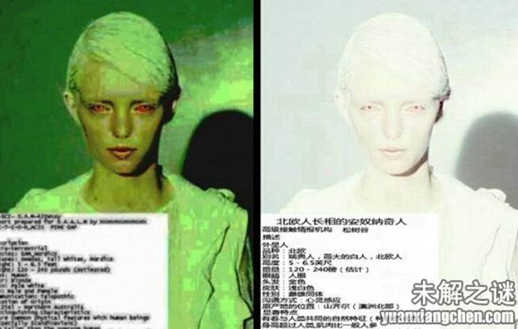 描述: 不得了! 大曝光：人類已發現50種外星人, 你見過但你不知道!