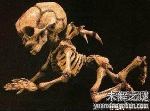 描述: 不得了! 大曝光：人類已發現50種外星人, 你見過但你不知道!