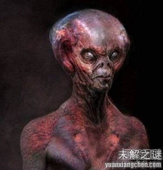 描述: 不得了! 大曝光：人類已發現50種外星人, 你見過但你不知道!
