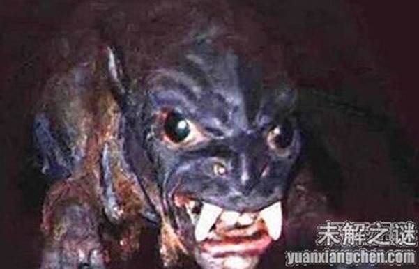 描述: 不得了! 大曝光：人類已發現50種外星人, 你見過但你不知道!