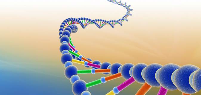 描述: You Can Change Your DNA
